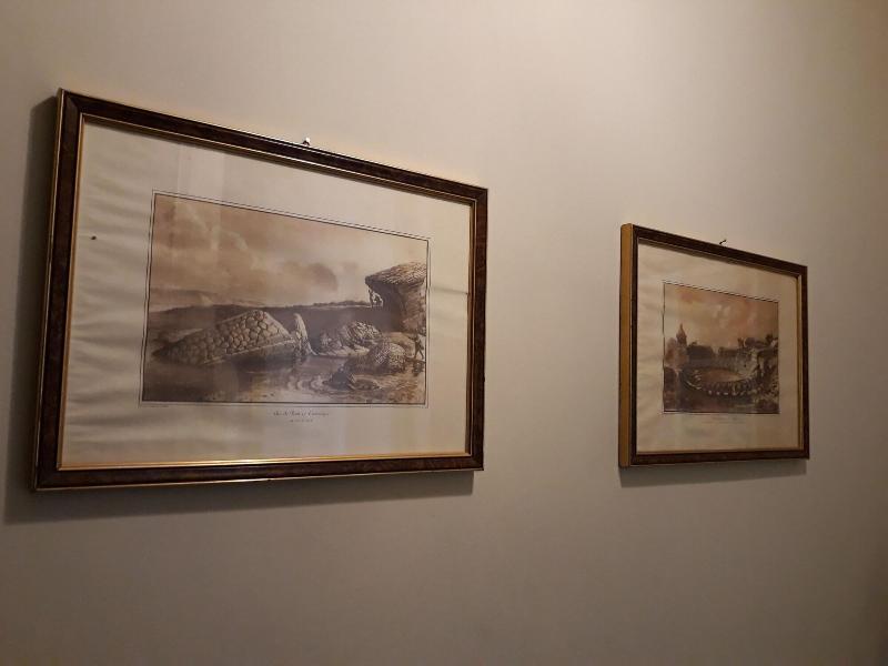 Nabucco Bed & Breakfast Catania Exterior foto